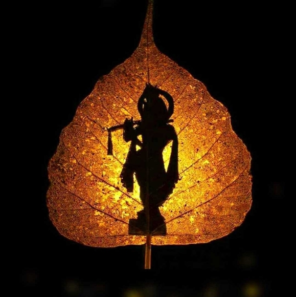 Meet your Posher, Jeetu - Picture 1 of 1